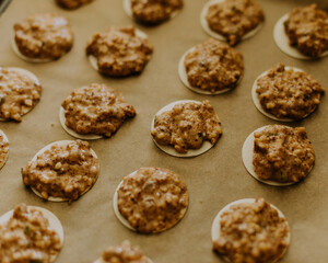 homemade gingerbread baked cookies with glazing sugar closeup photo german traditional biscuits for christmas time