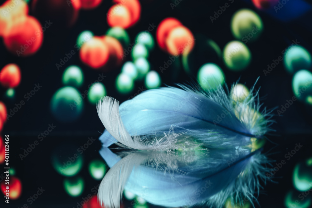 Poster Beautiful blue Bird feather on a bokeh background.  Pattern background for design texture.  Macro view photography.