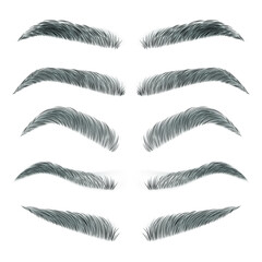 Various types of eyebrows. Eyebrows isolated on white background. Black eyebrow pack. Classic type and different eyebrow thickness. Black eyebrow pack. Vector illustration