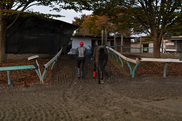 競走馬と飼育員