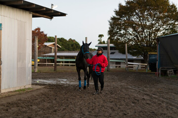 競走馬と飼育員