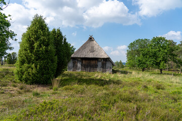 Obraz premium Characteristic stable for German moorland sheep with a straw roof in the natural preserve Lueneburger Heide