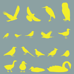 Bird set. gray background with yellow birds
