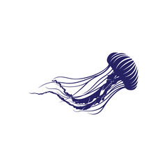 Jellyfish design vector illustration, Creative Jellyfish logo design concepts template, icon symbol