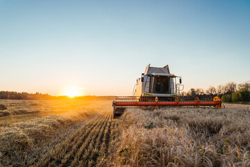 Fototapeta na wymiar Combine harvester harvests ripe wheat. Concept of a rich harvest. Agriculture image