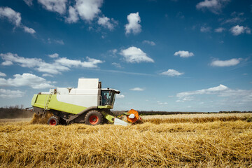 Combine harvester harvests ripe wheat. Concept of a rich harvest. Agriculture image