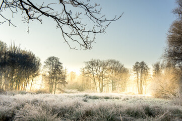 Obraz premium Dutch winter landscape
