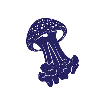 recommend clip art: Jellyfish design vector illustration, Creative Jellyfish logo design concepts template, icon symbol