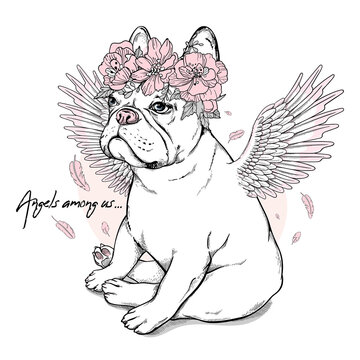 Cute french bulldog with angel wings. Dog in flower wreath. Angels among us illustration. Stylish image for printing on any surface	