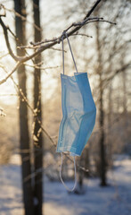 Used medical mask hanging on a tree branch, winter