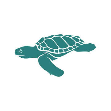 Turtle design vector illustration, Creative Turtle logo design concepts template, icon symbol