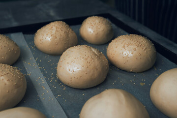Fototapeta na wymiar Close-Up of fresh Hamburger Buns, dough. bakery products. production and cooking