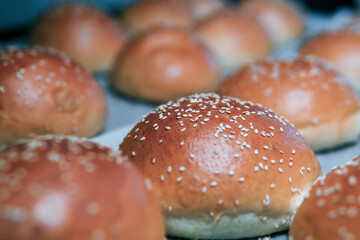 Lots of hamburger buns. Sprinkled with sesame seeds. Bakery and production. Selective focus