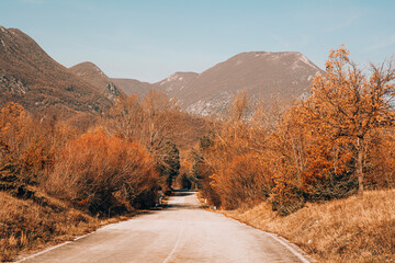 Backlight in a road in the woods, winter morning, abruzzo, italy