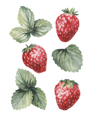 watercolor drawing ripe beautiful strawberries with leaves fresh berries set 2