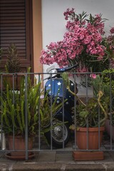 Vespa scooter on a terrace