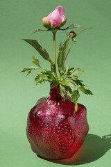 Minimalist light pink peony flower with closed bud. Trendy design art flower concept with parsley on the green background. Unusual red vase of pomegranate shape. 
