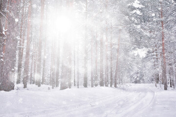 abstract snowfall forest background, white snowflakes fall in the forest landscape, christmas background