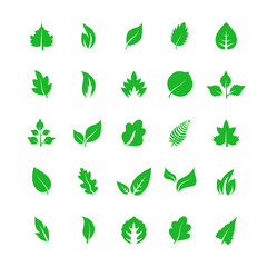 Leaf icon set isolated on white background. Collection of leaf icons for logo, poster, placard and wallpaper. Creative art concept. Leaf vector illustration