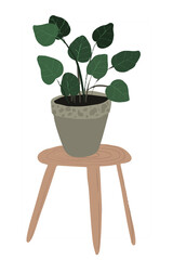 Hand drawn tropical house plants. Scandinavian style illustration, modern and elegant home decor. design flowers.