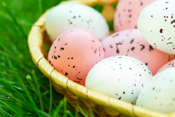 Easter colorful eggs on green grass
