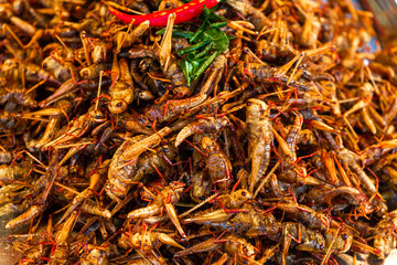 Asian food market. A counter with fried insects