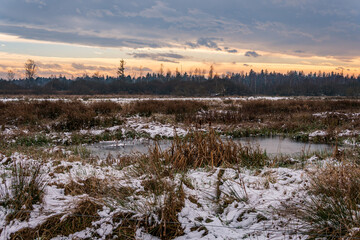 Snow-covered winter landscape in the Pfrunger Ried near Ostrach