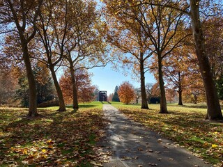 autumn in the park