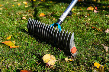 A lawn thatcher in a garden with yellow leaves on the grass.