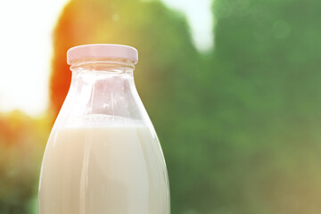 Bottle of milk against the background of green foliage