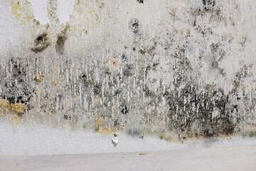 white wallpaper on the walls is moldy. black mold