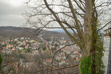 Wernigerode Schloss Harz Ausblick Bäume
