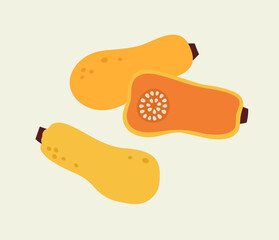 Vector illustration of long pumpkin in different colors on a beige background. Hand-drawn set. Trendy pumpkin card. Suitable for illustrating healthy eating, recipes, local farm.