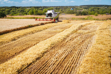 Combine harvester harvests ripe wheat. Concept of a rich harvest. Agriculture image