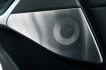 Audio speaker in a luxury car door