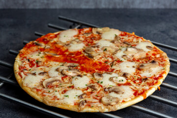 Mushroom cheese home baked supermarket simple pizza with crunchy crest and golden yellow orange tint studio low key still life on a metal oven grid in a modern gray kitchen counter