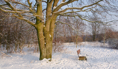 Winterlandschaft mit eine Bank