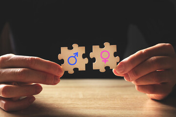 Concept of gender compatibility with female and male signs on puzzles
