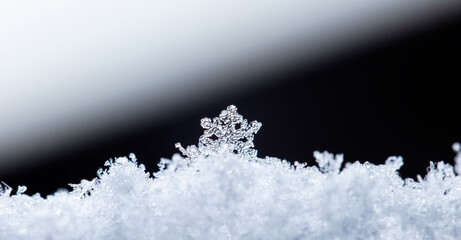 snowflake, little snowflake on the snow