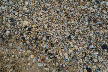 The texture of stones on the beach. Pebbles and shells background. 