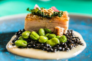 Pork belly on celery puree with beans. Food styling and restaurant meal serving.