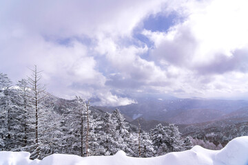 【冬イメージ】厳冬期の雪山