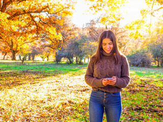 Pretty young woman reading messages from social networks on her mobile phone, in an oak forest in a beautiful sunset in Spain.