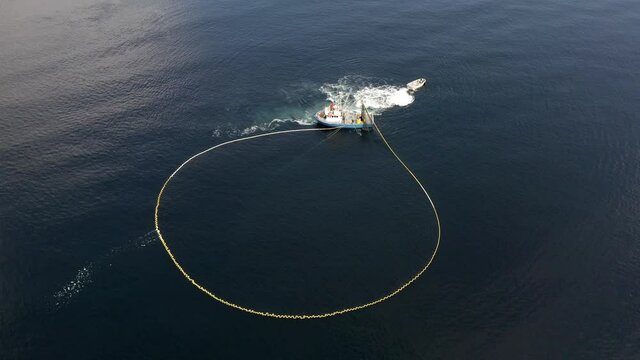 Aerial View of Fishing Ship and Net in Circle Shape, Collecting Fish From Ocean. Traditional Salmon Fishing in Alaska USA, Drone Shot
