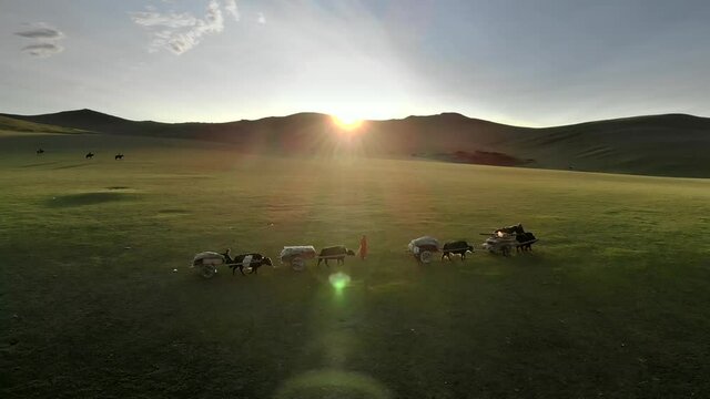 Central Asian family people walking immigrating with traditional old oxcart tumbrel and tumbril ox cart.Emigration migration walk regional ethnic nomad nomadic nomads migrant chariot primitive primord