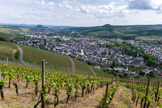 Wandern im Ahrtal &uuml;ber Ahrweiler auf dem Rotweinwanderweg