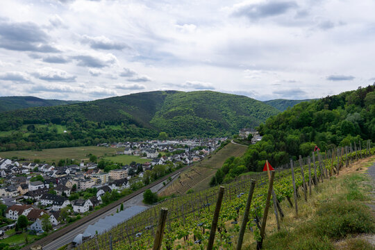 Wandern im Ahrtal &uuml;ber Ahrweiler auf dem Rotweinwanderweg