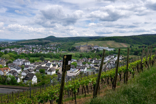 Wandern im Ahrtal &uuml;ber Ahrweiler auf dem Rotweinwanderweg