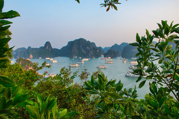 Halong Bay in Vietnam viewed from Ti Top island 
