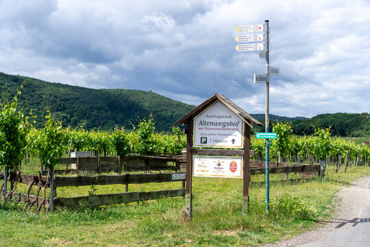 Wandern im Ahrtal &uuml;ber Ahrweiler auf dem Rotweinwanderweg